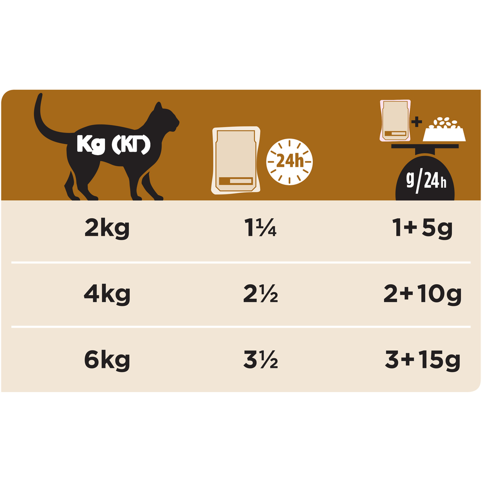 Pro Plan Veterinary diets NF St/Ox Renal Function для взрослых кошек при патологии почек/мочевых камнях, курица, пауч 85 г