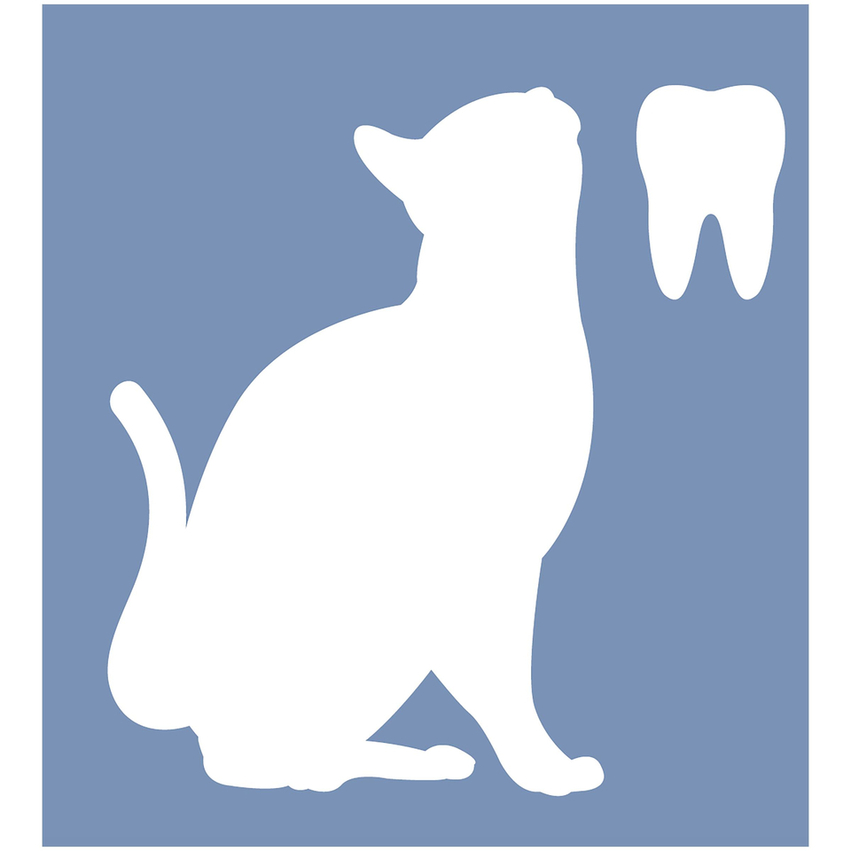 Cat Chow Adult 3in1 для взрослых кошек, здоровые зубы + выведение шерсти + профилактика мочекаменной болезни, птица/индейка, 15 кг