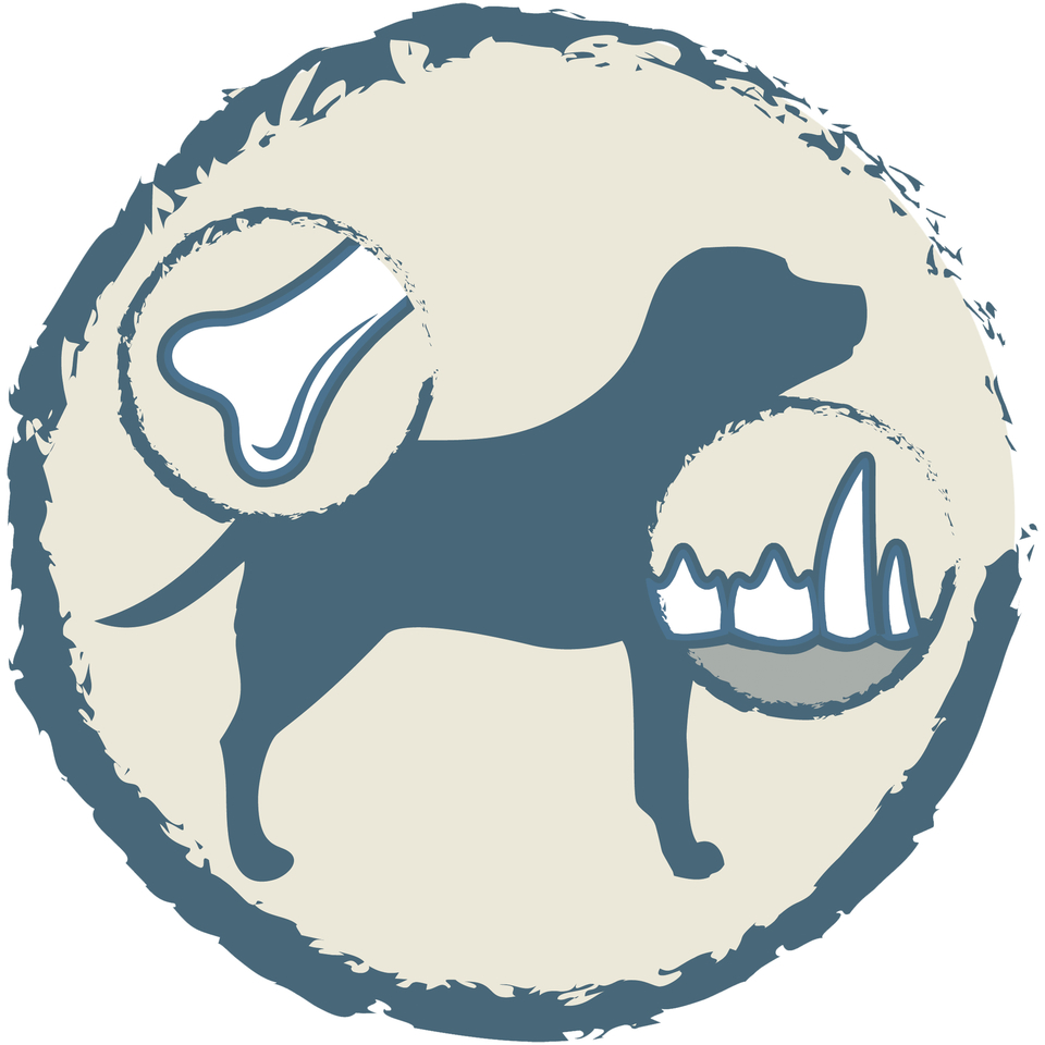 Dog Chow Puppy для щенков, беременных/кормящих собак, для поддержания иммунитета, ягненок, 14 кг