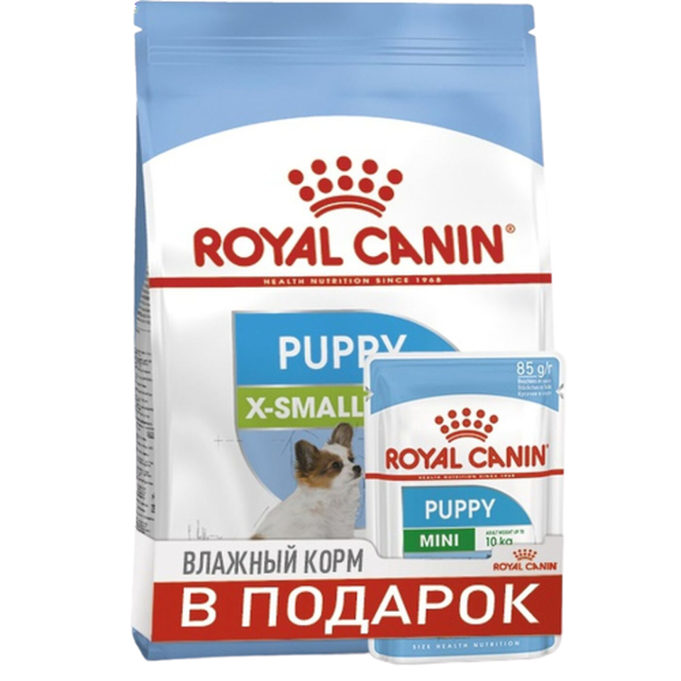 Royal Canin X-Small Puppy для щенков очень мелких пород до 10 месяцев, поддержание иммунитета, курица, 1,5 кг + влажный пауч 2x85 г