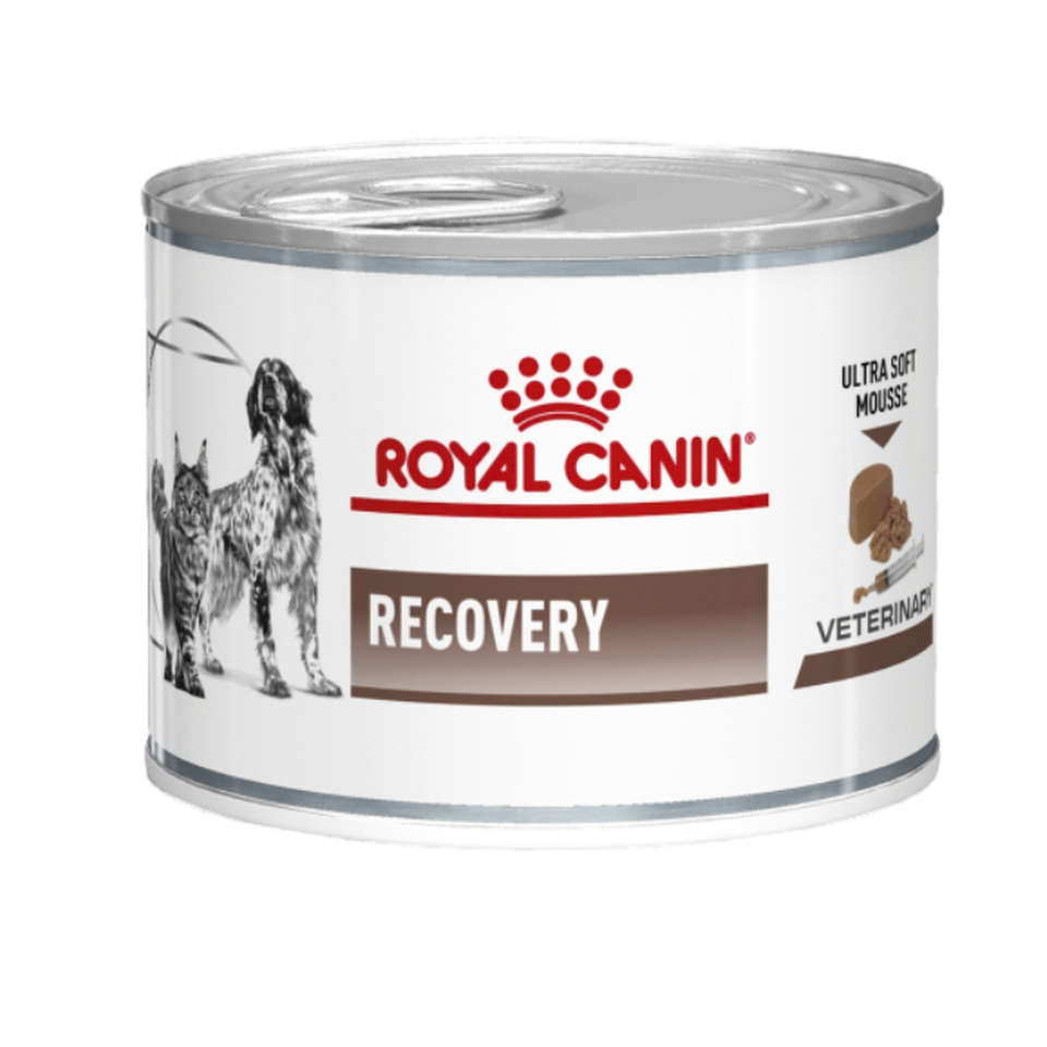 Royal Canin Recovery для кошек и собак всех возрастов, восстановление после болезни, мясо, консервы 195 г