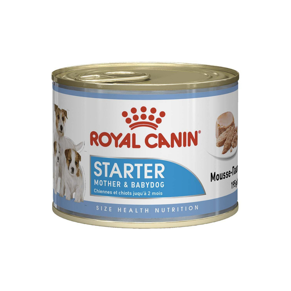 Royal Canin Starter для щенков, кормящих и беременных собак всех пород, поддержание иммунитета, мясо, консервы 195 г