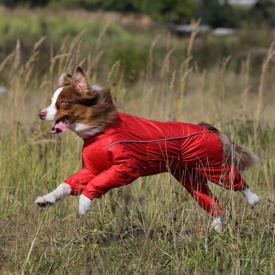 OSSO Fashion комбинезон для собак-девочек (55-2), цвета в ассортименте