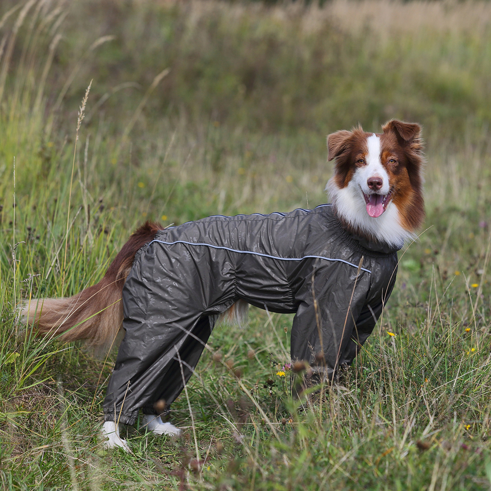 OSSO Fashion комбинезон для собак-девочек (35-1), цвета в ассортименте