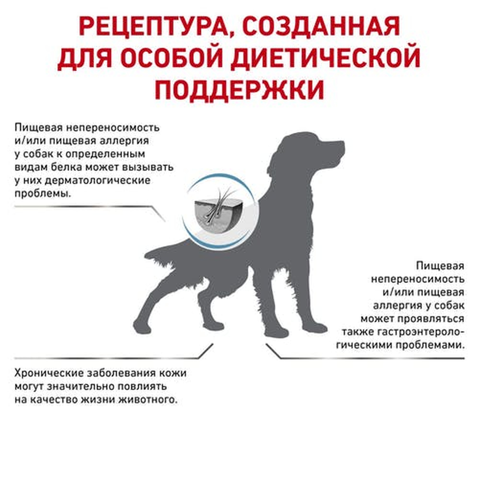 Royal Canin Anallergenic AN18 для взрослых собак при пищевой аллергии или непереносимости, 8 кг