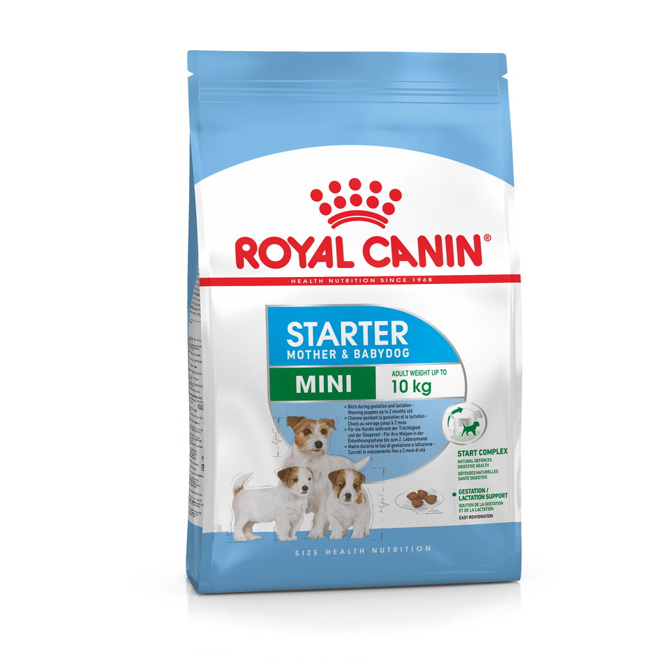 Royal Canin Mini Starter для щенков, кормящих и беременных собак мелких пород, поддержание иммунитета, курица, 1 кг