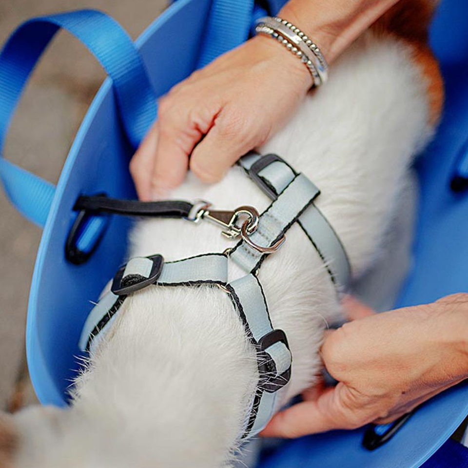 With-Me сумка-переноска голубая для собак весом до 8 кг