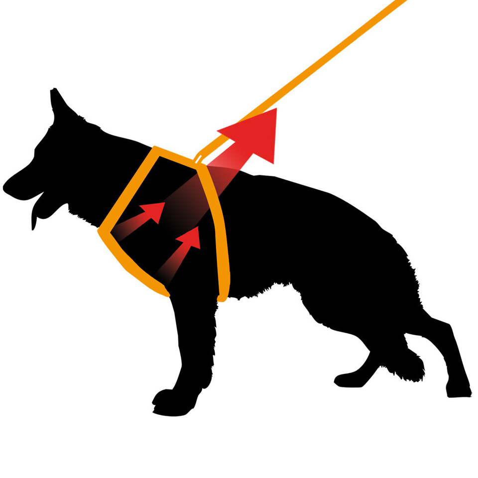 ERGOCOMFORT P Шлейка для собак красная, размер XS