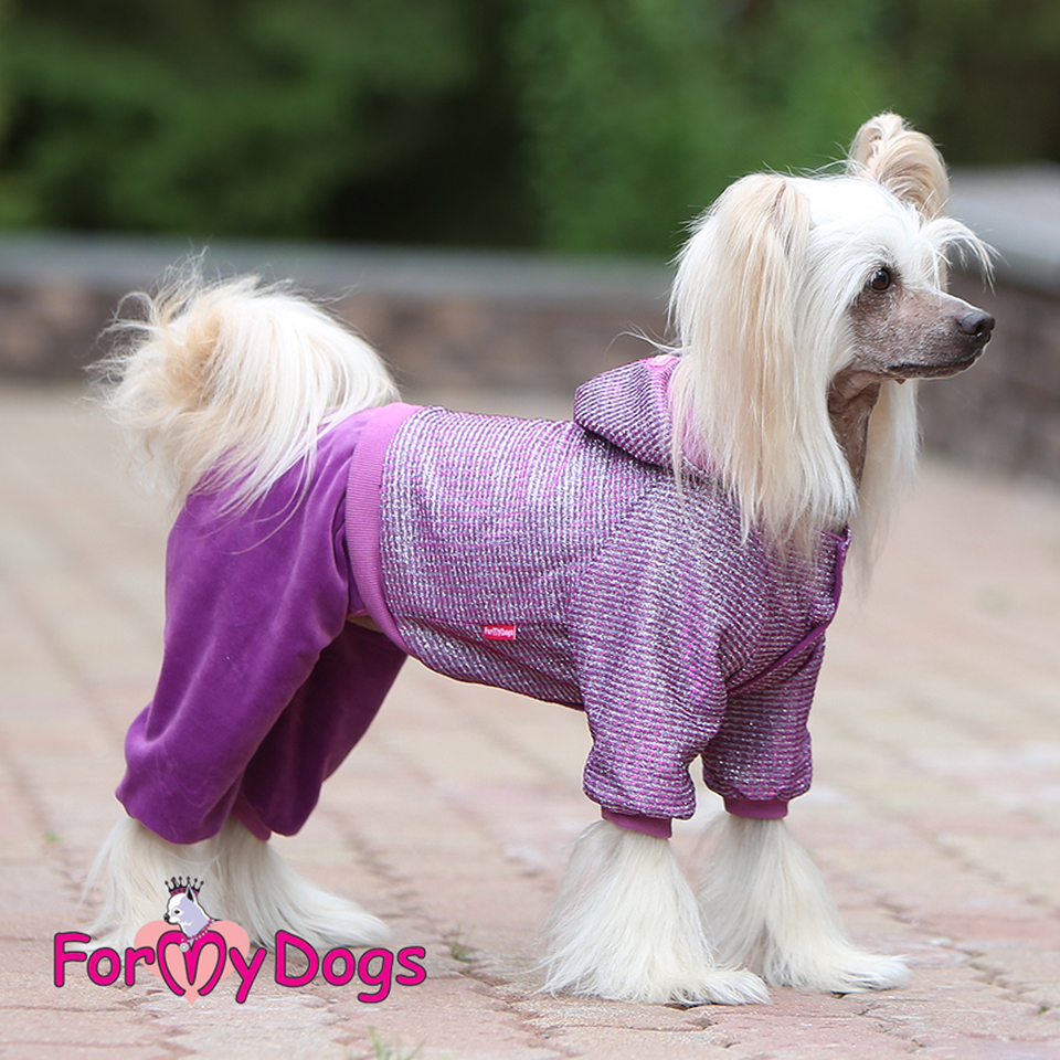 Костюм велюровый утепленный фиолетовый для собак (16)