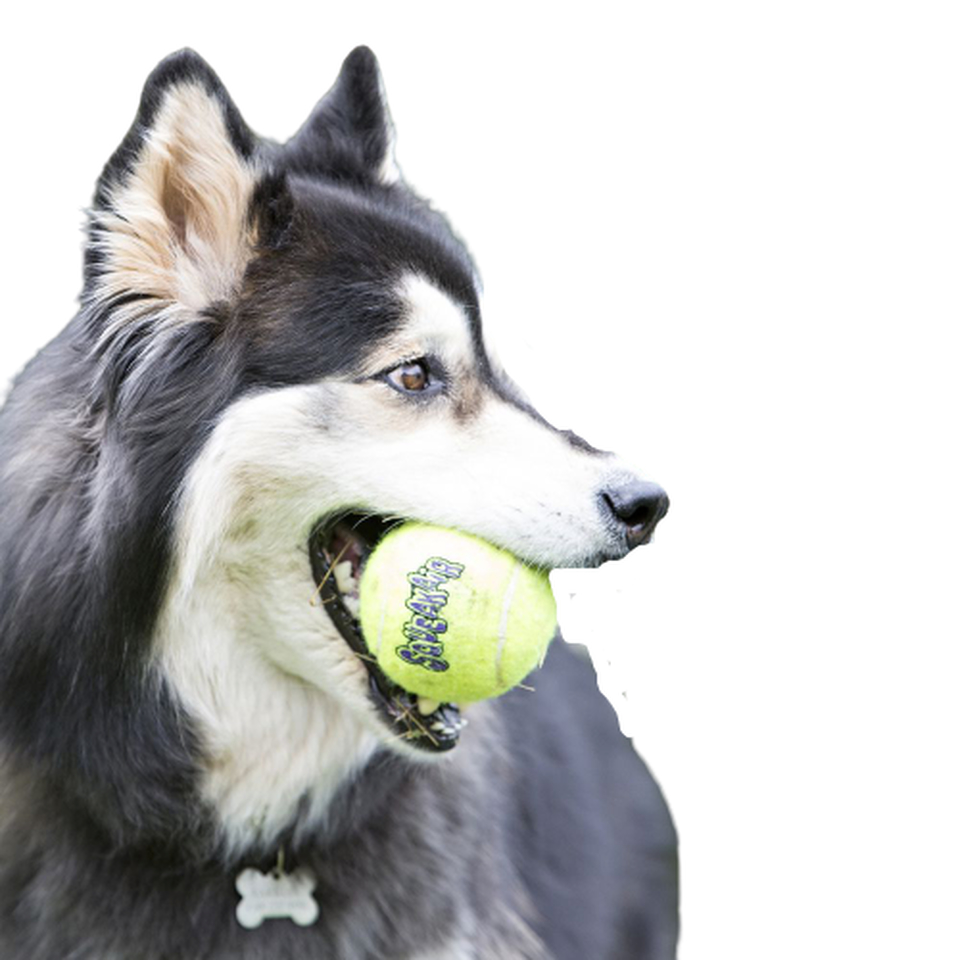 Kong Air Теннисный мяч средний, игрушка для собак, 6 см