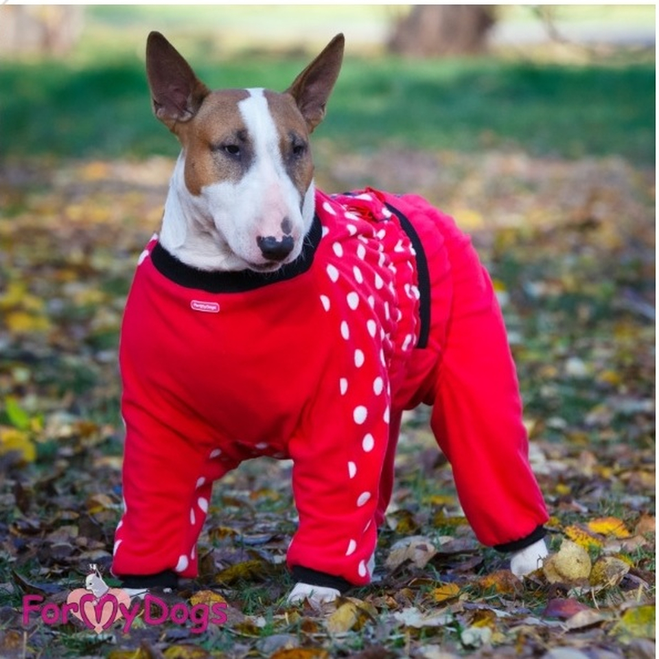 Комбез для собак. Osso-Fashion комбинезон для собак красный. FORMYDOGS комбинезон флисовый красный для. Комбинезоны для больших собак. Костюмы для собак средних пород.