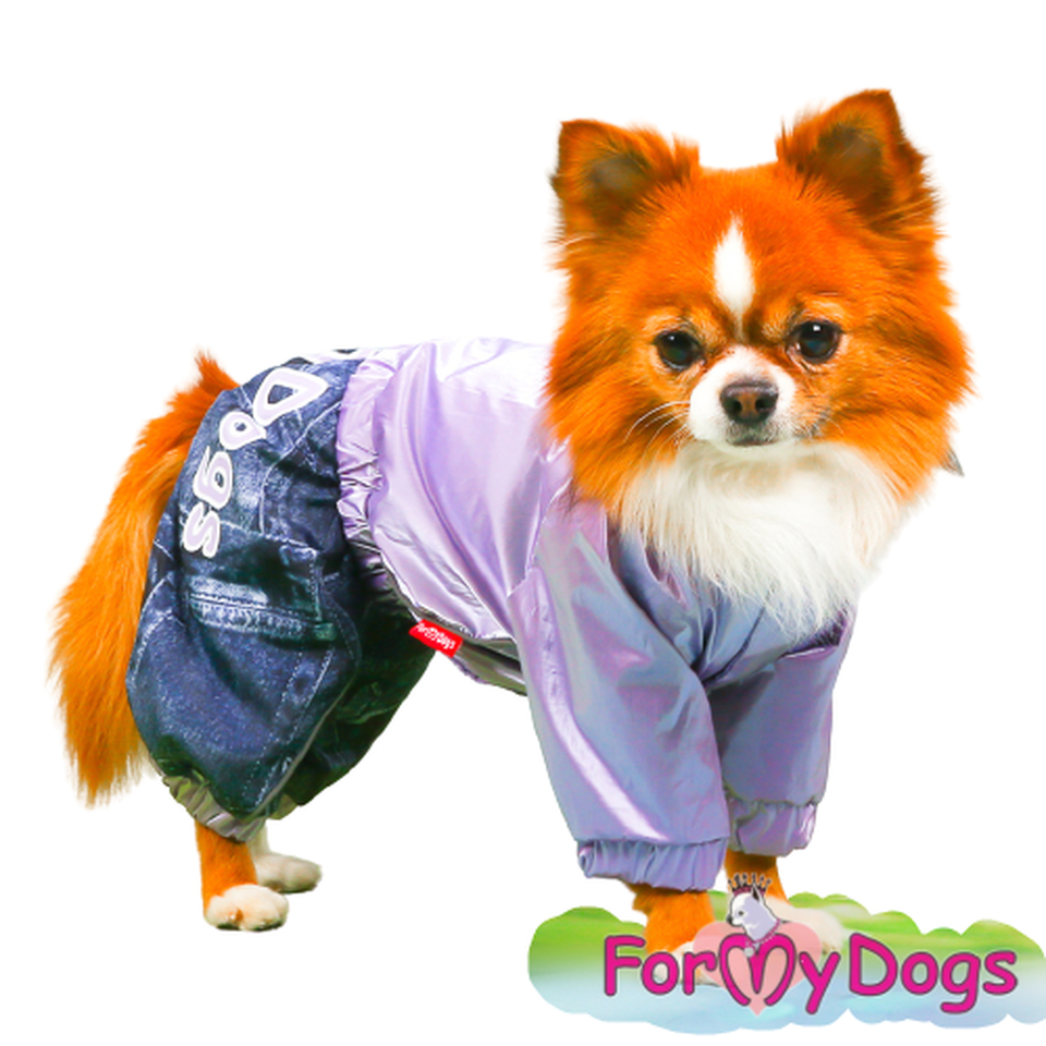 Дождевик фиолетовый для собак-девочек (10)