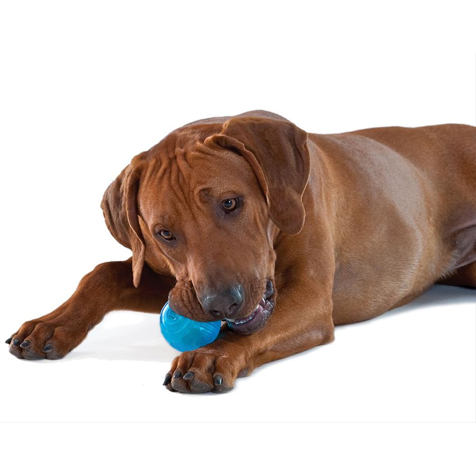 Petstages ORKA теннисный мяч, игрушка для собак, 6 см