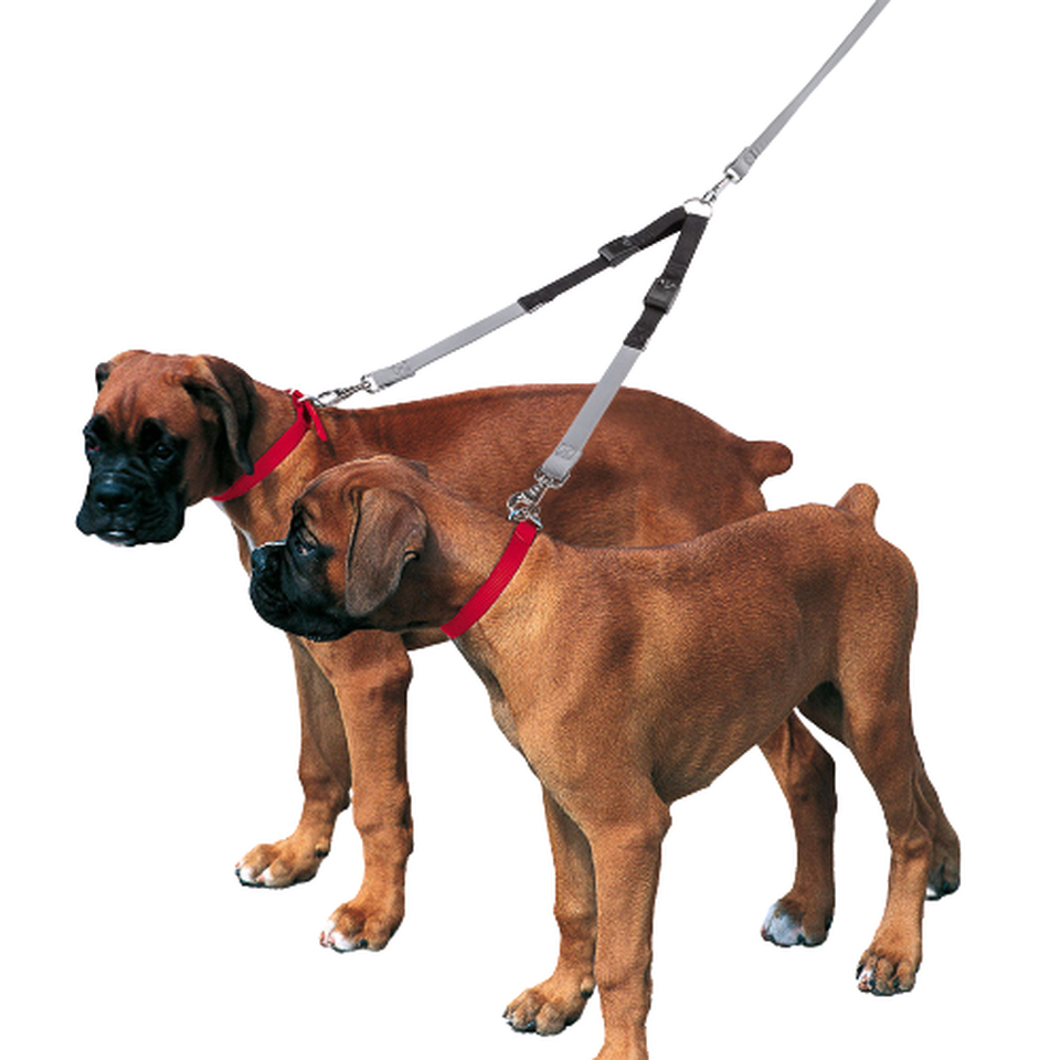 Ergocomfort Elastic Twin Сворка эластичная для собак