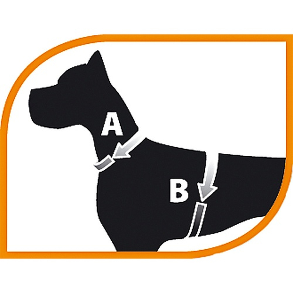 Agila Derby 5 Шлейка для собак из эко-кожи с нейлоновым шнуром сизо-серая