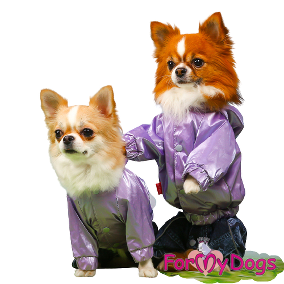 Дождевик фиолетовый для собак-девочек (12)