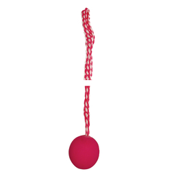 Триол Мяч с петлей из цельнолитой резины, игрушка для собак, 5/51 см