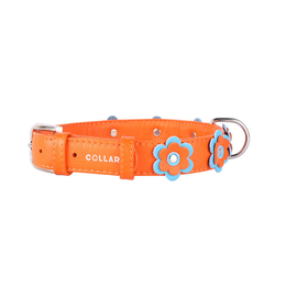Collar Glamour Ошейник с украшением аппликация для собак оранжевый, 1,5х(27-36) см